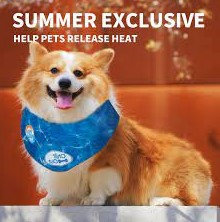 ALL FOR PAWS Chill Out Dog Cooling Bandana Summer Neck Wrap Breathable Neckerchief Pet Scarf – Medium – 38-46 cm